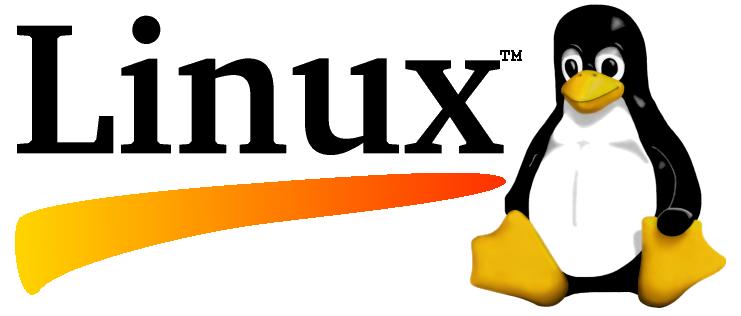 Setting Up Linux on a MacBook Pro